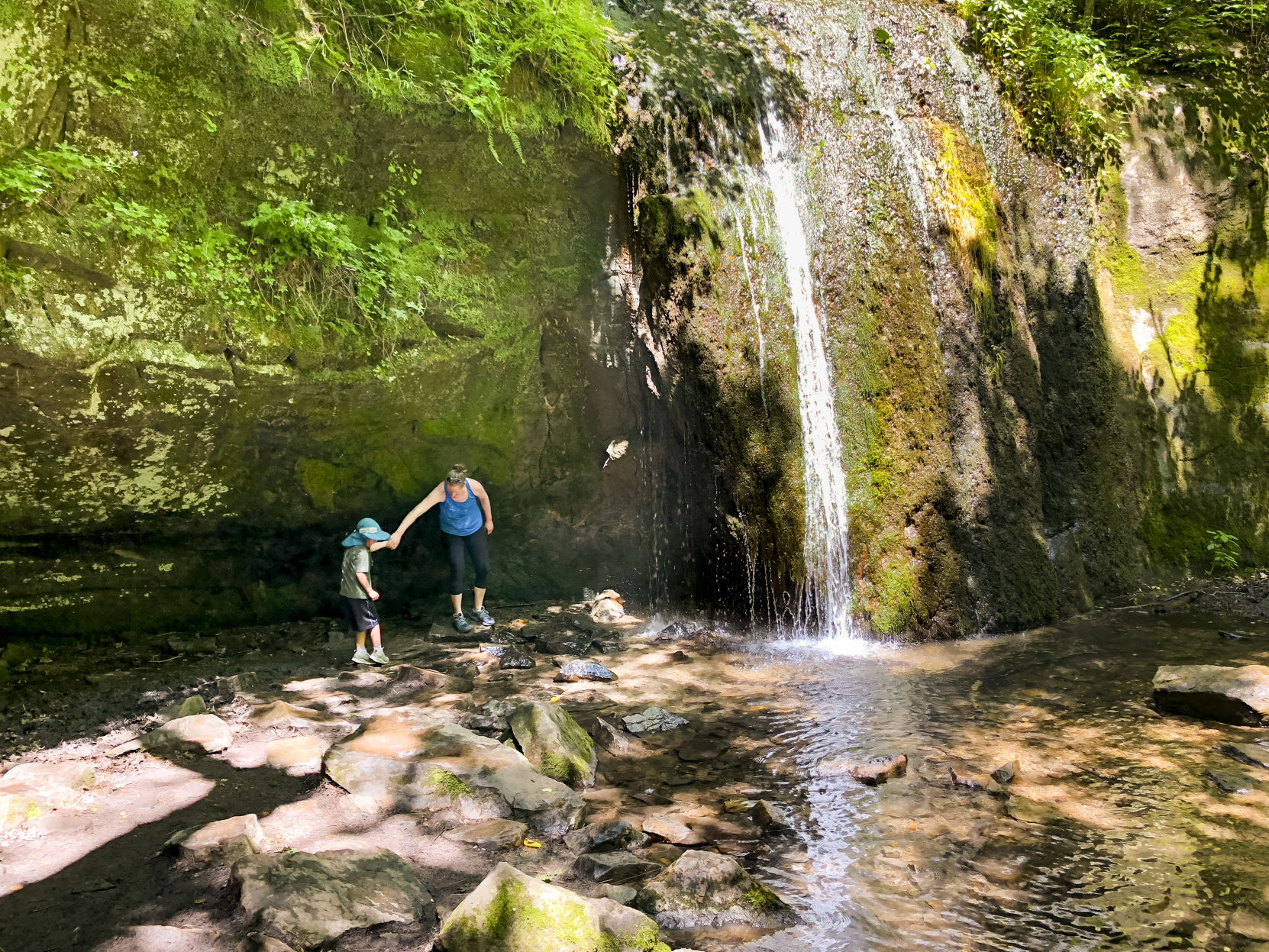 State Park Closures 040920 27-04092020120908